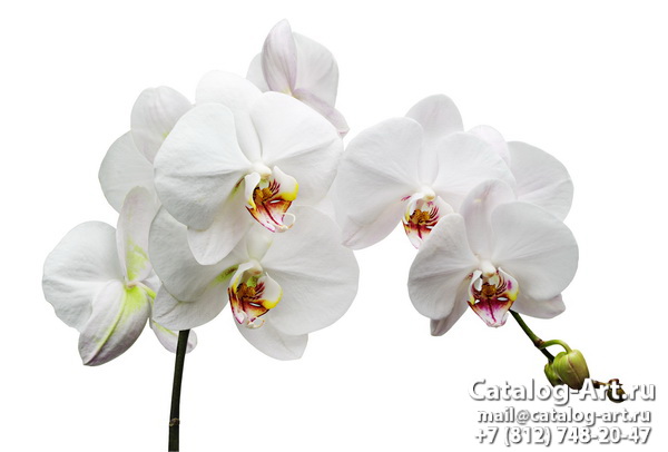 Натяжные потолки с фотопечатью - Белые орхидеи 12